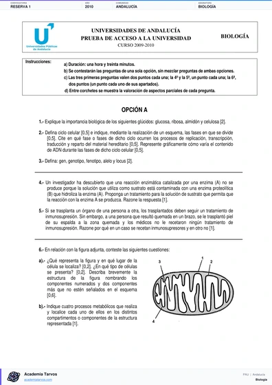 Vista previa de Examen PAU de Biología de Andalucía 2010 – Reserva 1