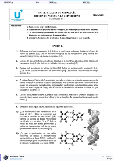 Vista previa de Examen PAU de Biología de Andalucía 2011 – Reserva 2