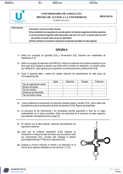 Vista previa de Examen PAU de Biología de Andalucía 2011 – Reserva 3