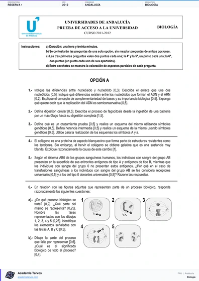Vista previa de Examen PAU de Biología de Andalucía 2012 – Reserva 1