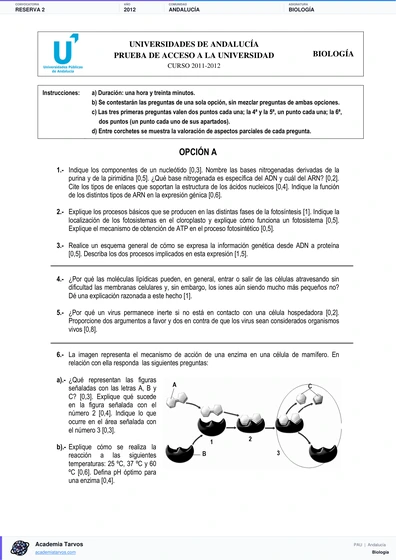 Vista previa de Examen PAU de Biología de Andalucía 2012 – Reserva 2