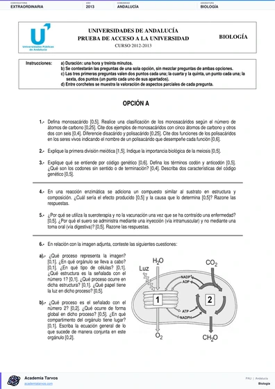 Vista previa de Examen PAU de Biología de Andalucía 2013 – Extraordinaria