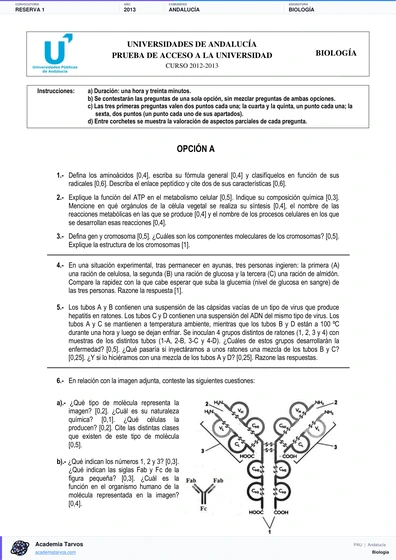 Vista previa de Examen PAU de Biología de Andalucía 2013 – Reserva 1
