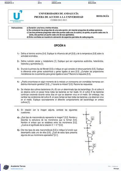 Vista previa de Examen PAU de Biología de Andalucía 2013 – Reserva 4