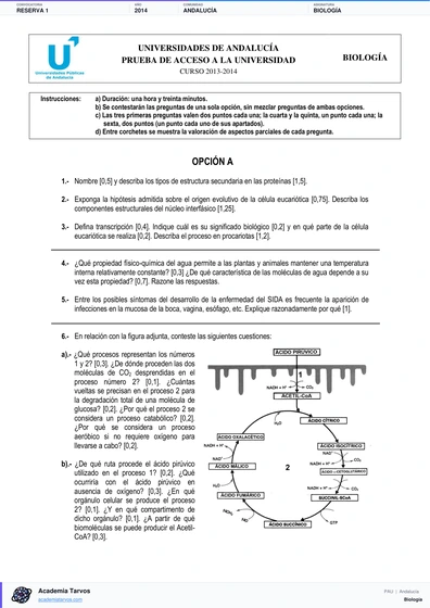 Vista previa de Examen PAU de Biología de Andalucía 2014 – Reserva 1