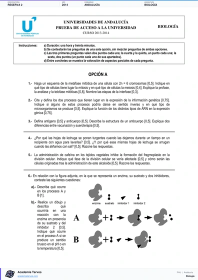 Vista previa de Examen PAU de Biología de Andalucía 2014 – Reserva 2