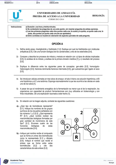 Vista previa de Examen PAU de Biología de Andalucía 2014 – Reserva 3