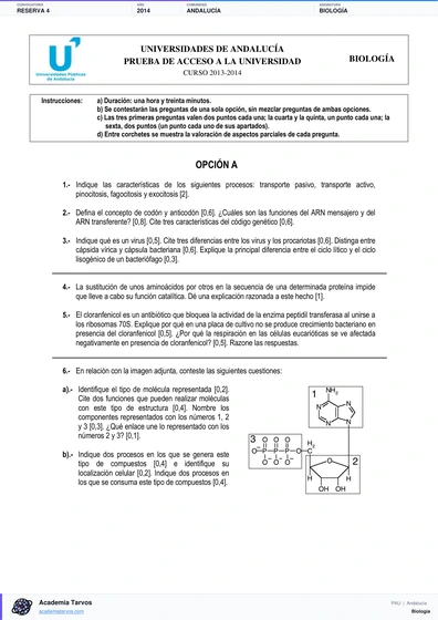 Vista previa de Examen PAU de Biología de Andalucía 2014 – Reserva 4