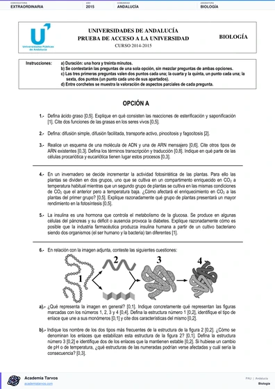 Vista previa de Examen PAU de Biología de Andalucía 2015 – Extraordinaria