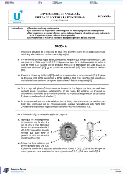 Vista previa de Examen PAU de Biología de Andalucía 2015 – Ordinaria