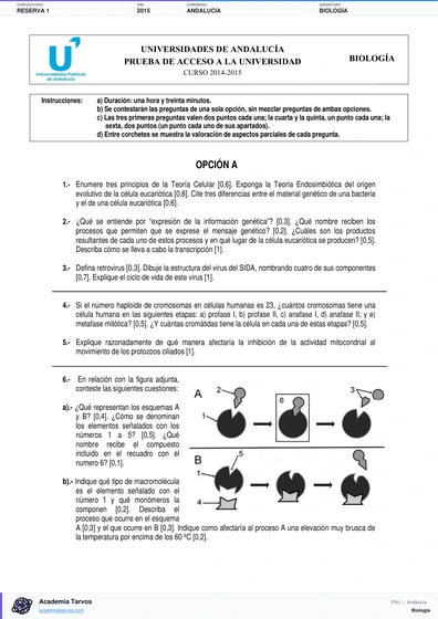 Vista previa de Examen PAU de Biología de Andalucía 2015 – Reserva 1