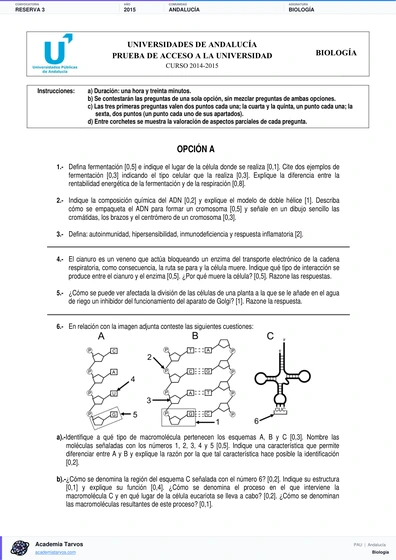 Vista previa de Examen PAU de Biología de Andalucía 2015 – Reserva 3