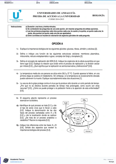 Vista previa de Examen PAU de Biología de Andalucía 2015 – Reserva 4