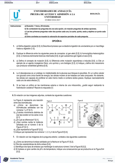 Vista previa de Examen PAU de Biología de Andalucía 2017 – Ordinaria