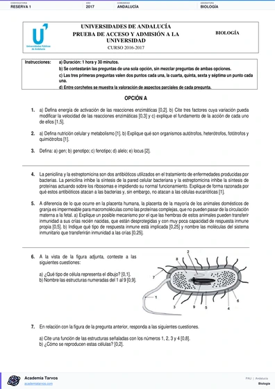 Vista previa de Examen PAU de Biología de Andalucía 2017 – Reserva 1