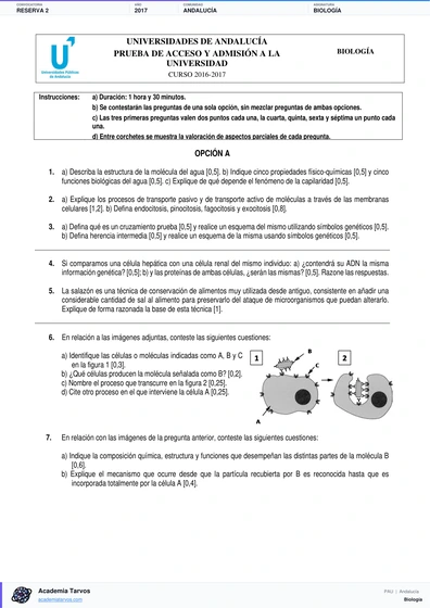 Vista previa de Examen PAU de Biología de Andalucía 2017 – Reserva 2