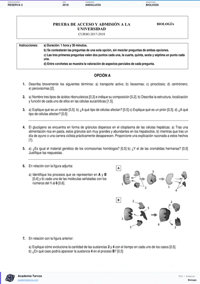 Vista previa de Examen PAU de Biología de Andalucía 2018 – Reserva 3