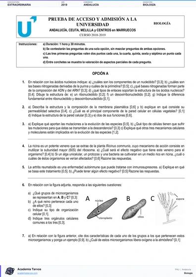 Vista previa de Examen PAU de Biología de Andalucía 2019 – Extraordinaria