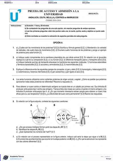 Vista previa de Examen PAU de Biología de Andalucía 2019 – Reserva 1