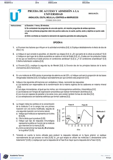 Vista previa de Examen PAU de Biología de Andalucía 2019 – Reserva 2
