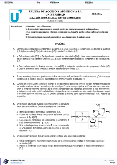 Vista previa de Examen PAU de Biología de Andalucía 2019 – Reserva 3