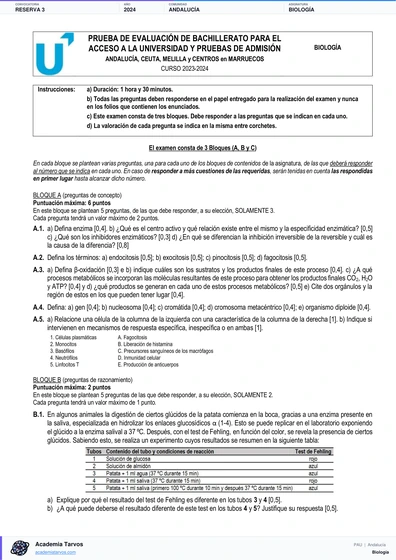 Vista previa de Examen PAU de Biología de Andalucía 2024 – Reserva 3