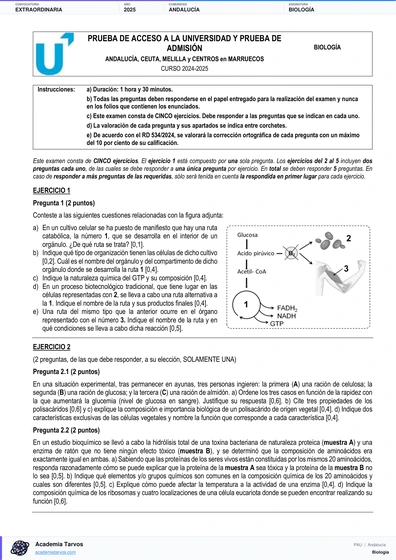 Vista previa de Examen PAU de Biología de Andalucía 2025 – Extraordinaria