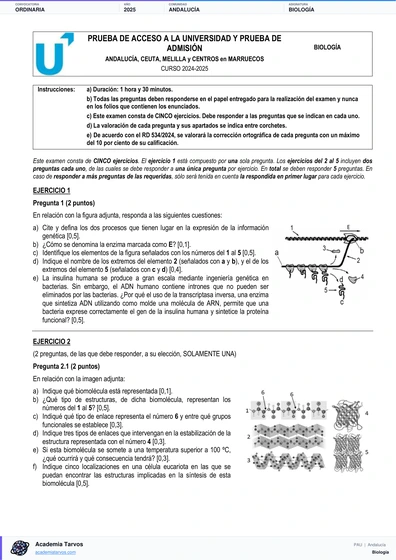 Vista previa de Examen PAU de Biología de Andalucía 2025 – Ordinaria