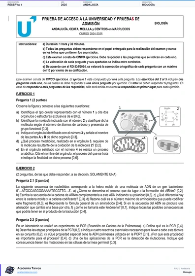 Vista previa de Examen PAU de Biología de Andalucía 2025 – Reserva 1