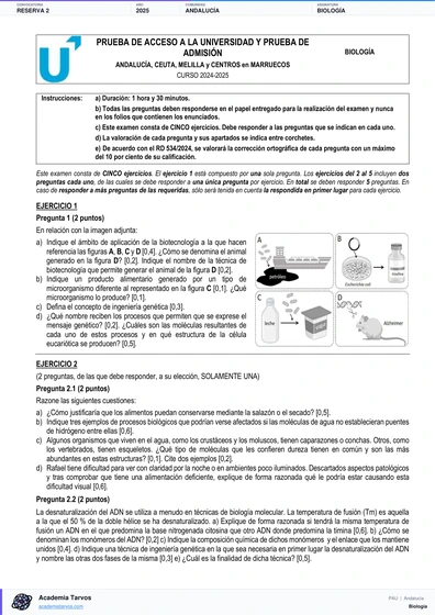 Vista previa de Examen PAU de Biología de Andalucía 2025 – Reserva 2