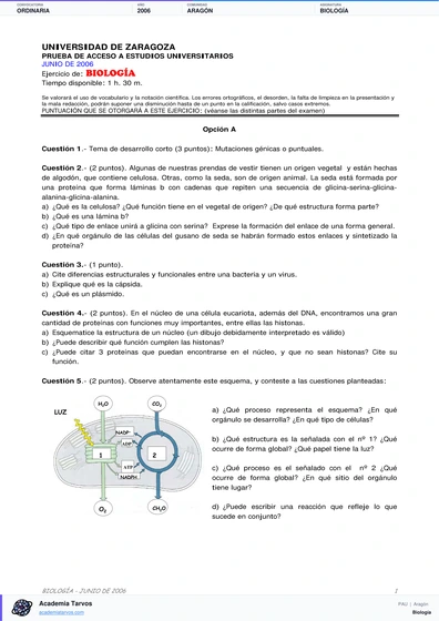 Vista previa de Examen PAU de Biología de Aragón 2006 – Ordinaria