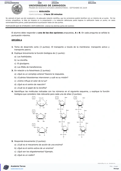 Vista previa de Examen PAU de Biología de Aragón 2009 – Extraordinaria