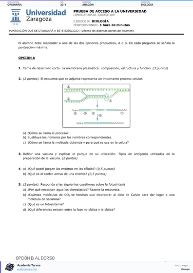 Vista previa de Examen PAU de Biología de Aragón 2011 – Ordinaria