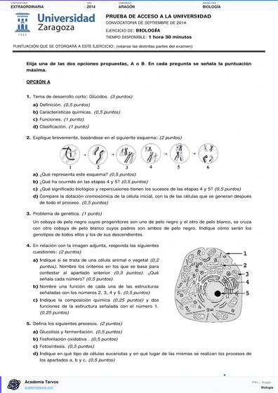Vista previa de Examen PAU de Biología de Aragón 2014 – Extraordinaria