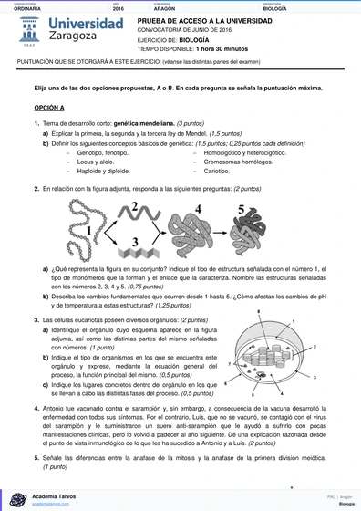 Vista previa de Examen PAU de Biología de Aragón 2016 – Ordinaria