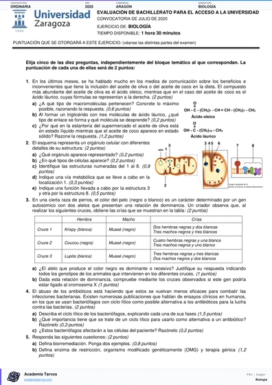 Vista previa de Examen PAU de Biología de Aragón 2020 – Ordinaria