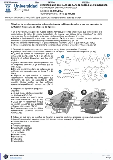 Vista previa de Examen PAU de Biología de Aragón 2021 – Extraordinaria