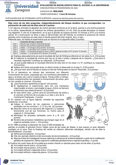 Vista previa de Examen PAU de Biología de Aragón 2022 – Extraordinaria