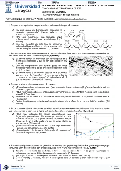 Vista previa de Examen PAU de Biología de Aragón 2023 – Extraordinaria