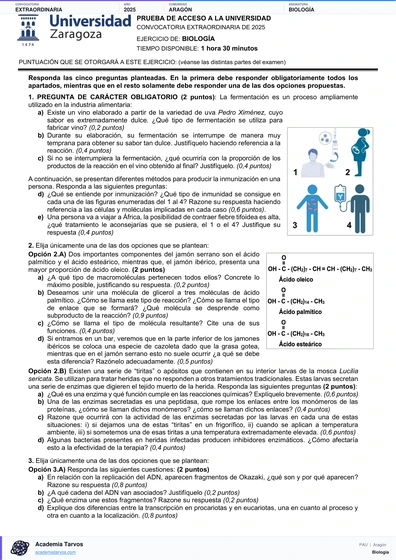 Vista previa de Examen PAU de Biología de Aragón 2025 – Extraordinaria