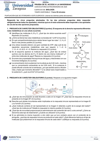 Vista previa de Examen PAU de Biología de Aragón 2026 – Extraordinaria