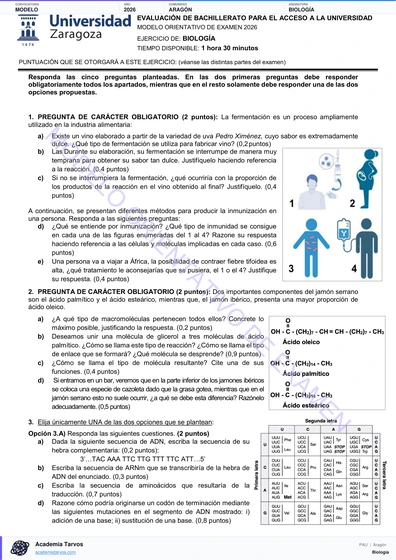 Vista previa de Modelo PAU de Biología de Aragón 2026
