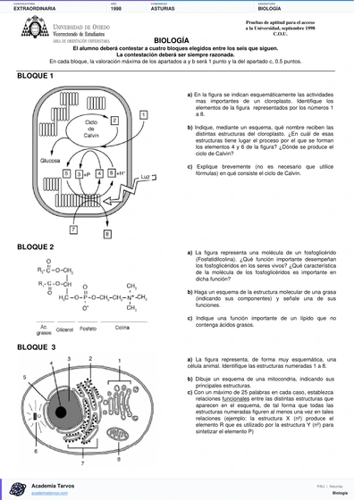 Vista previa de Examen PAU de Biología de Asturias 1998 – Extraordinaria