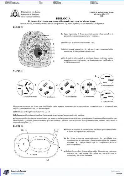 Vista previa de Examen PAU de Biología de Asturias 1999 – Extraordinaria
