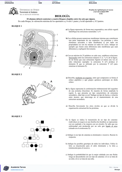 Vista previa de Examen PAU de Biología de Asturias 1999 – Ordinaria