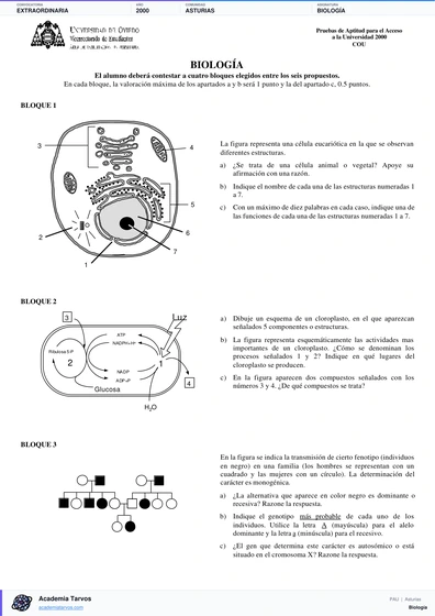 Vista previa de Examen PAU de Biología de Asturias 2000 – Extraordinaria