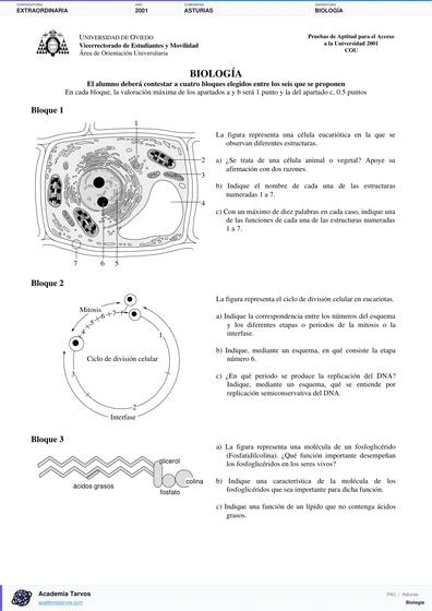 Vista previa de Examen PAU de Biología de Asturias 2001 – Extraordinaria