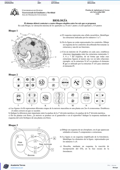 Vista previa de Examen PAU de Biología de Asturias 2001 – Ordinaria