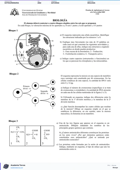 Vista previa de Examen PAU de Biología de Asturias 2002 – Extraordinaria