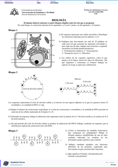 Vista previa de Examen PAU de Biología de Asturias 2002 – Ordinaria